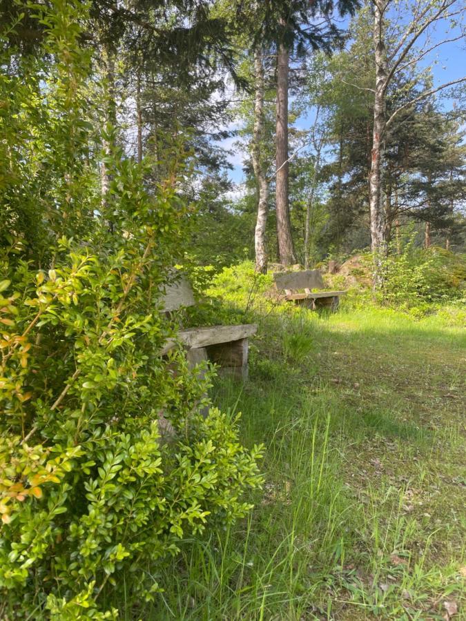 Вілла Haus Am Berg - Waldviertel Arbesbach Екстер'єр фото